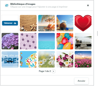biblio dimage
